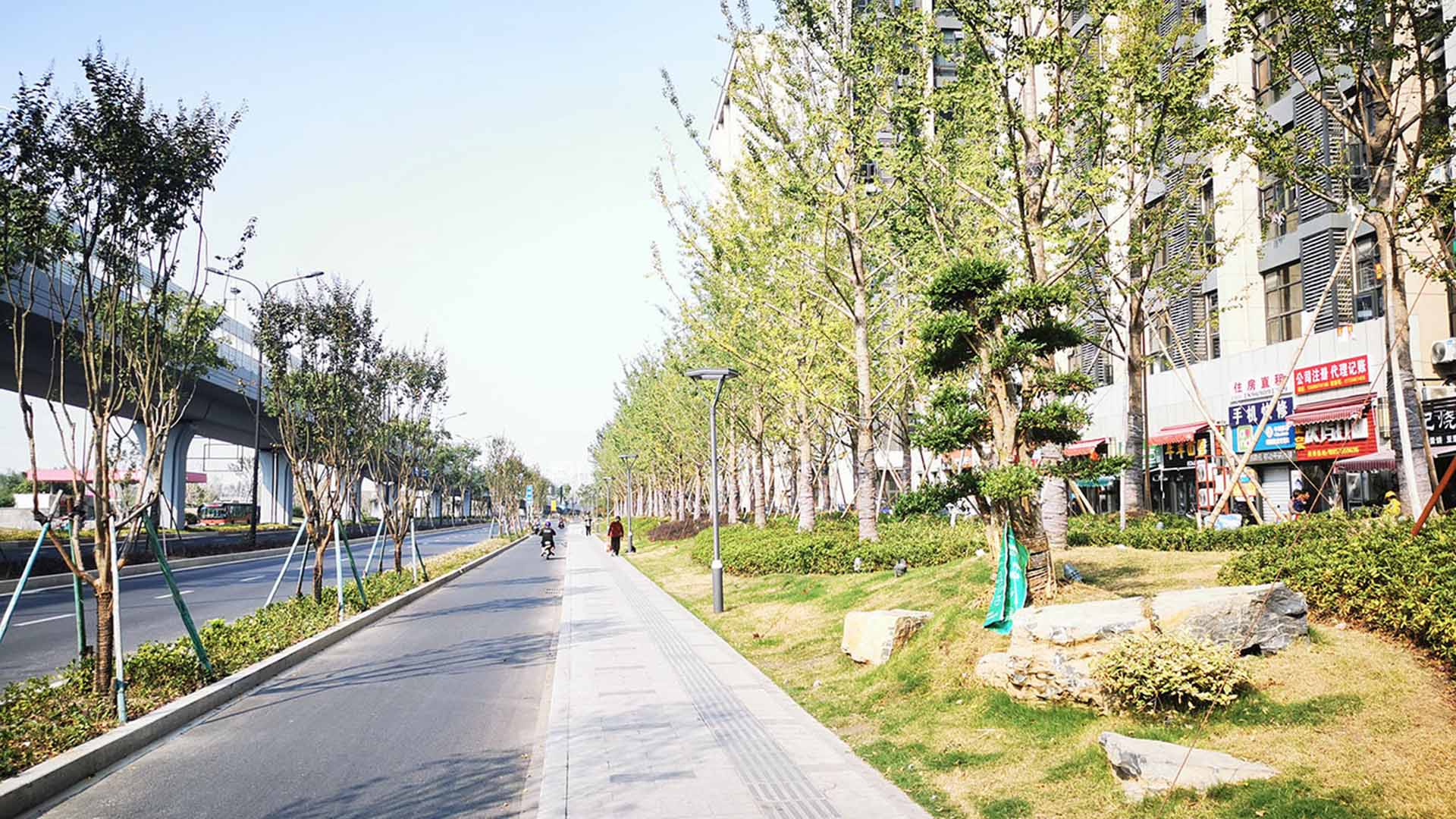 2019--迎宾大道改造提升工程（沪杭高速以南段）一标段